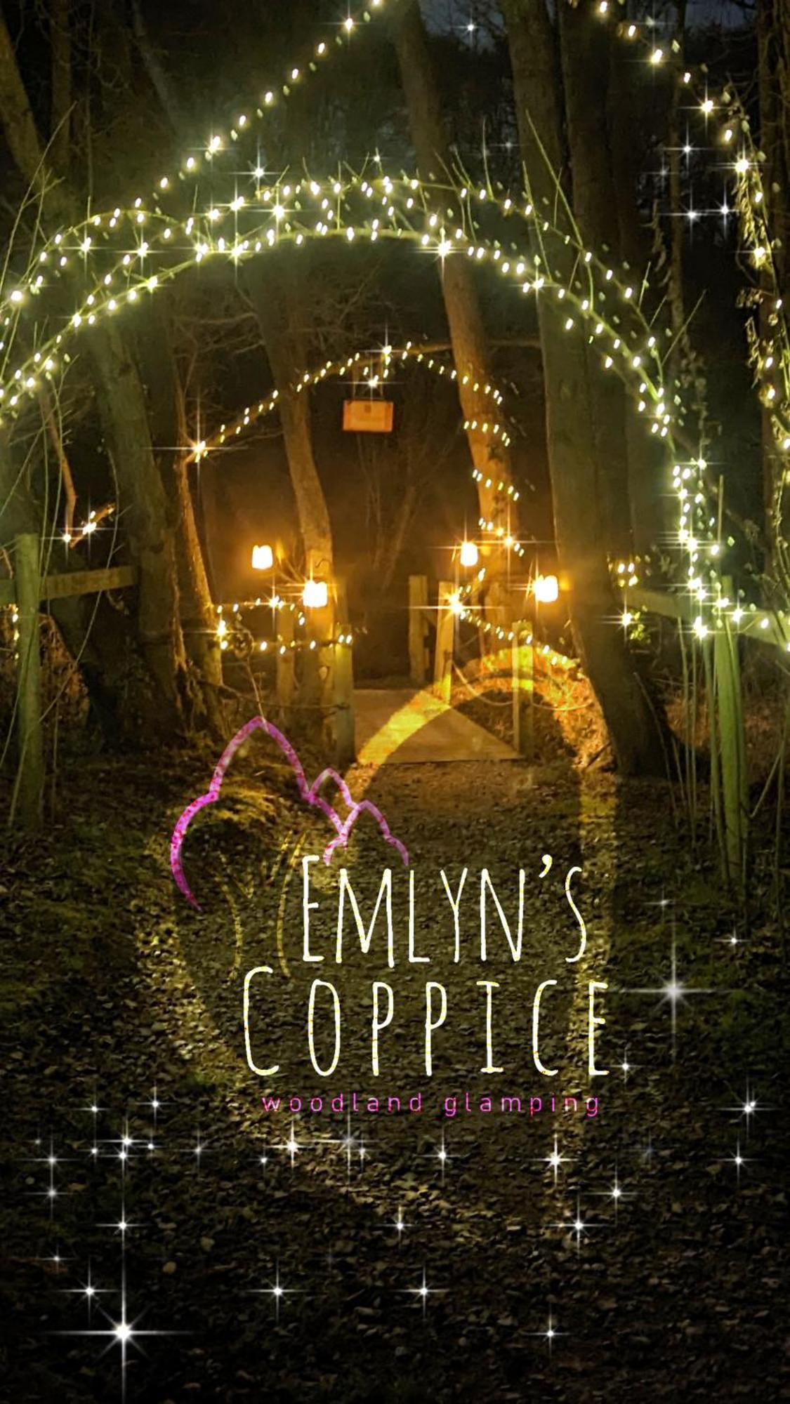 Emlyn'S Coppice - Luxury Woodland Glamping Villa Holywell  Exterior photo
